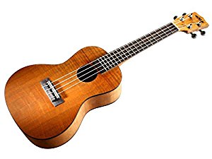 Kala Concert Ukulele