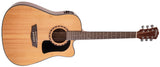 Washburn APPRENTICE D5CE Electric/ Acoustic Package