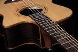 Washburn WCG20SCE-O Acoustic Electric guitar